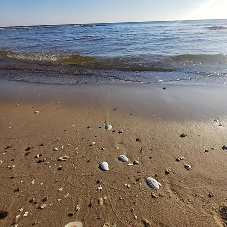 Daire Ostseeresidenz Gorki- Park - 08 Mit Wellness Und Schwimmbad